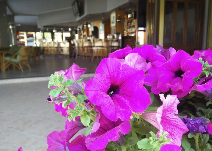 Tondoris Aparthotel Sidárion
